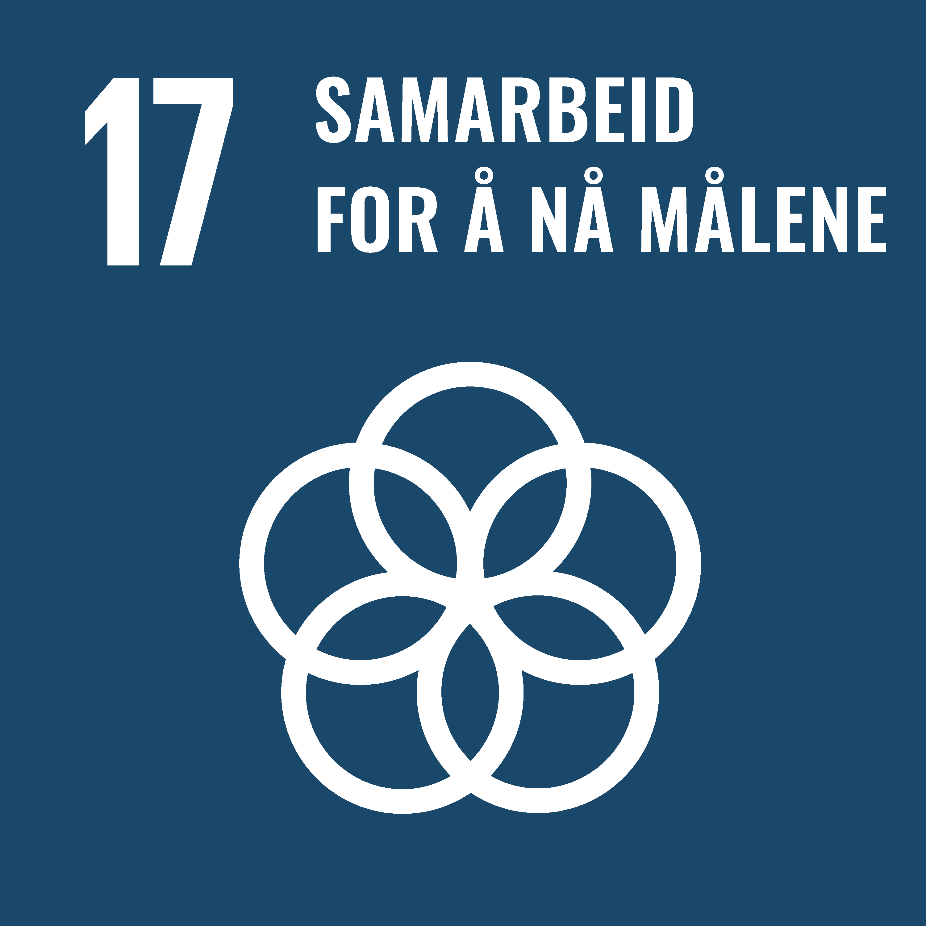 17. Samarbeid for å nå målene